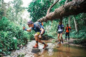 BIB: 
                            <button type="button" onclick="openModal(25368647)" class="btn btn-primary btn-sm float-right btn-popup" data-toggle="modal" data-target=".modal-high-quality">
                        <i class="fas fa-shopping-cart"></i> Add to Cart
                    </button>
                                            <button type="button" onclick="isThisMe(25368647, true)" class="btn btn-success btn-sm float-right btn-popup btn-isme hidden" data-toggle="tooltip" data-placement="bottom" title="นี่คือรูปของคุณใช่ไหม คลิกที่นี่เพื่อเอาเข้าอัลบั้ม">
                        <i class="fas fa-plus"></i> Add to album
                    </button>
                    <button type="button" onclick="isThisMe(25368647, false)" class="btn btn-warning btn-sm float-right btn-popup btn-isnotme hidden">
                        <i class="fas fa-ban"></i> Remove from album
                    </button>